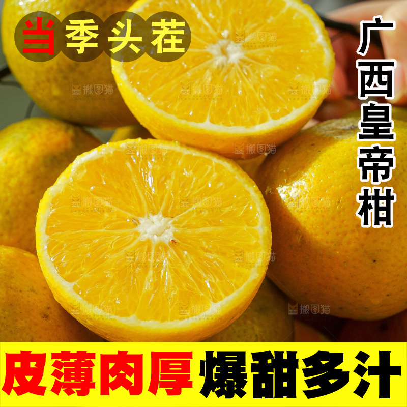 手里拿着皇帝柑