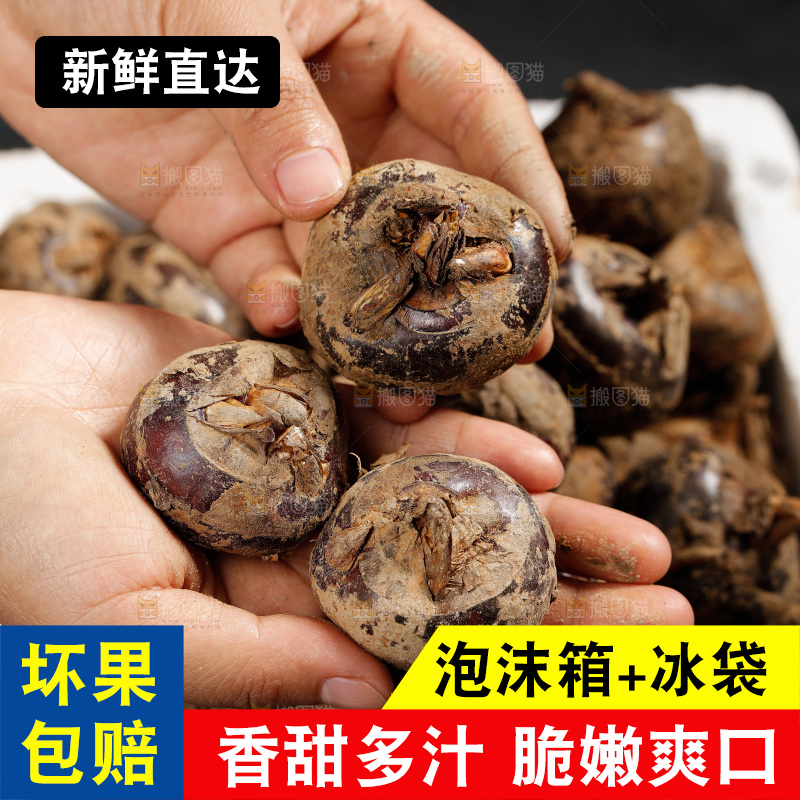 深底上的马蹄