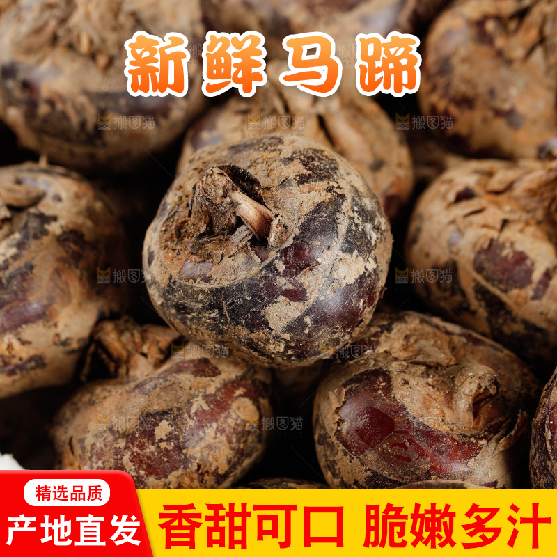 深底上的马蹄