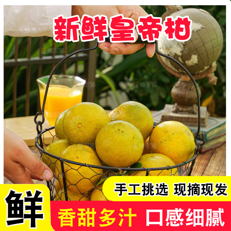 手里拿着皇帝柑