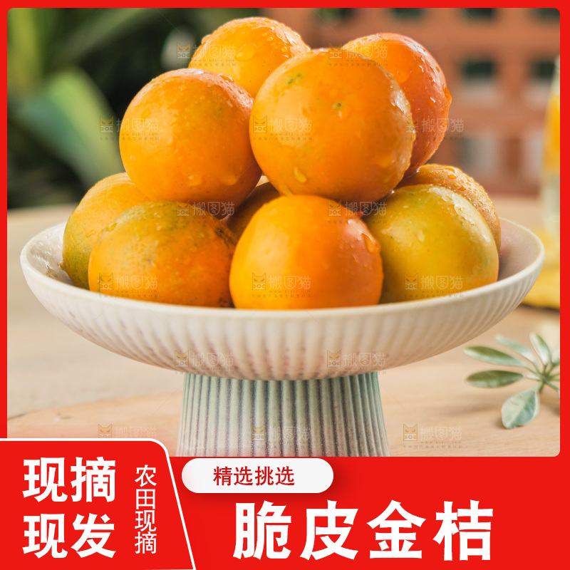 浅底上的小金桔