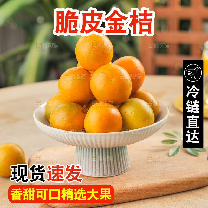 浅底上的小金桔