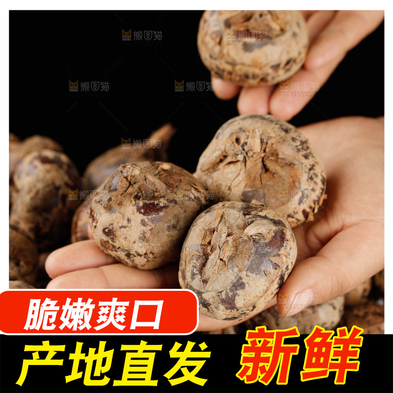 深底上的马蹄