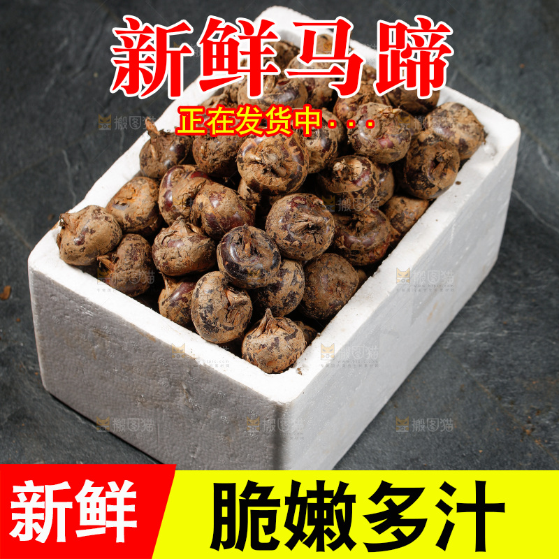 深底上的马蹄