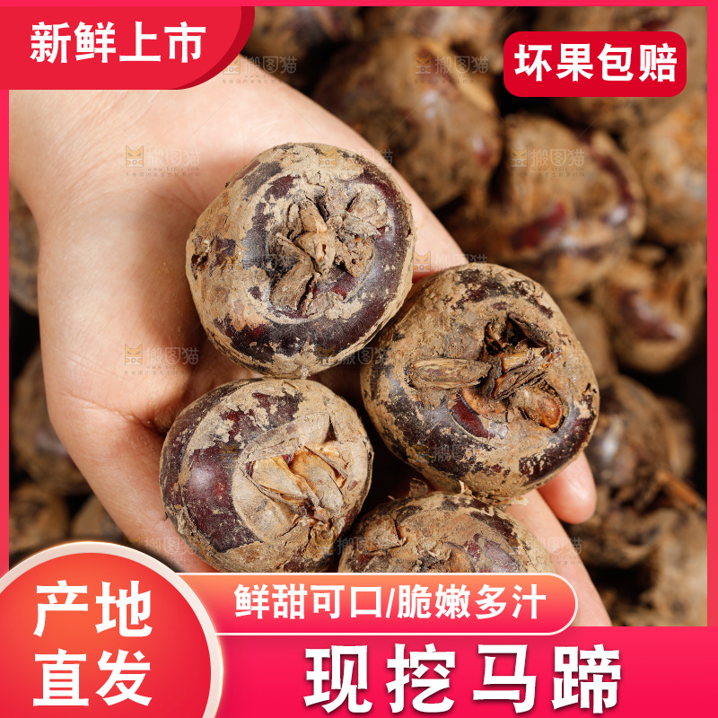 深底上的马蹄