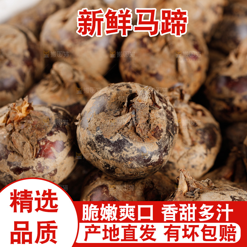 深底上的马蹄