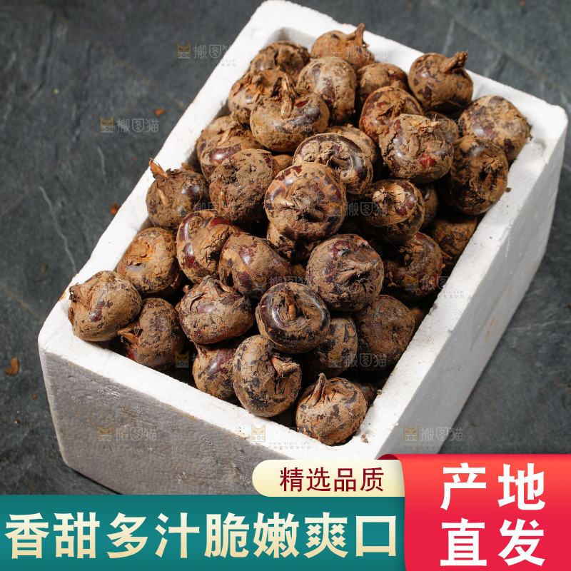 深底上的马蹄