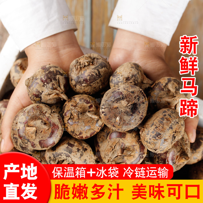 深底上的马蹄