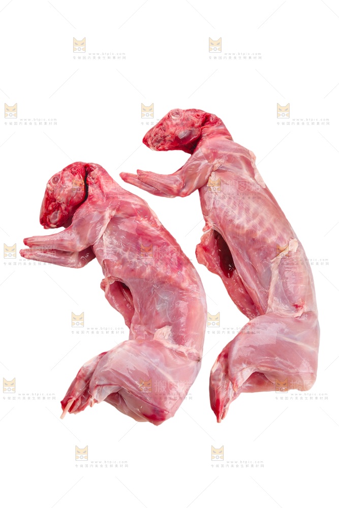 白底上的新鲜兔肉