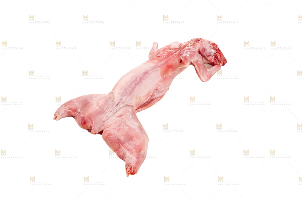 白底上的新鲜兔肉