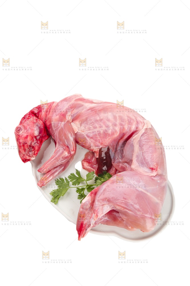 白底上的新鲜兔肉