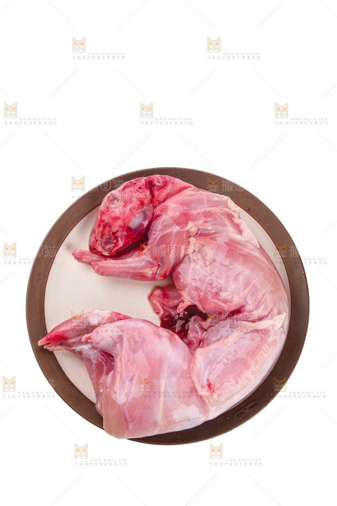 白底上的新鲜兔肉
