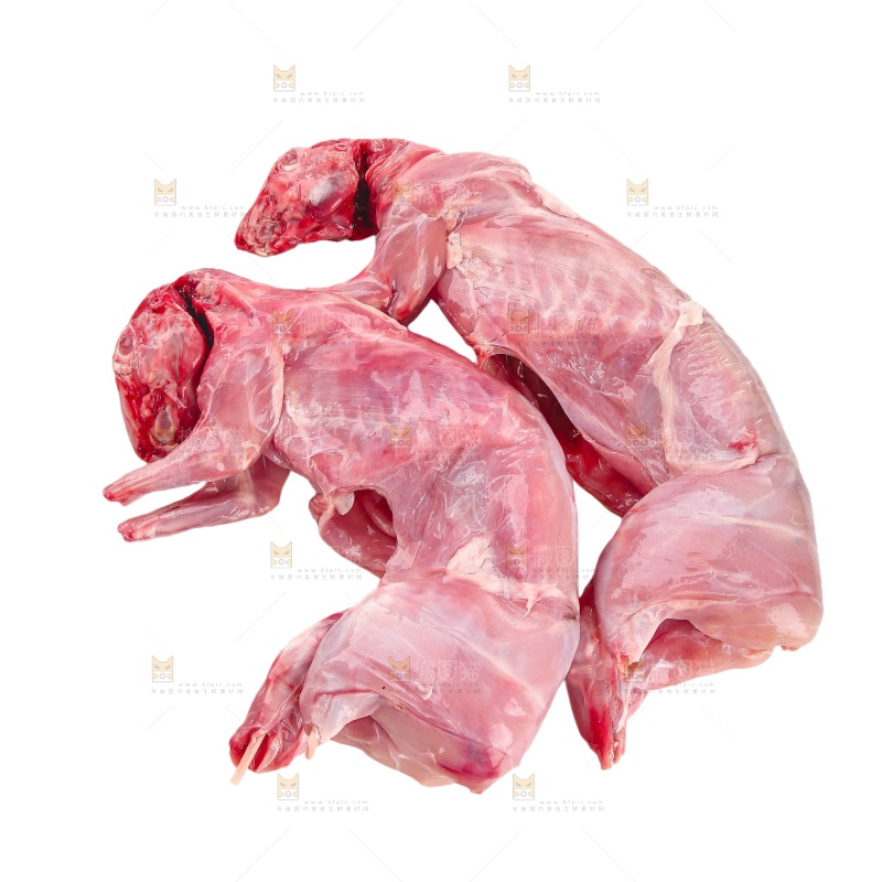 白底上的新鲜兔肉