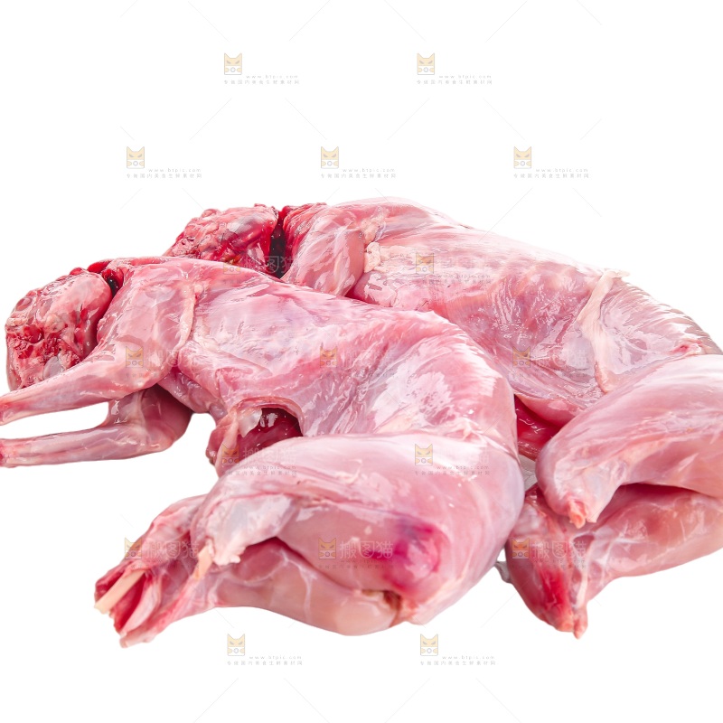 白底上的新鲜兔肉