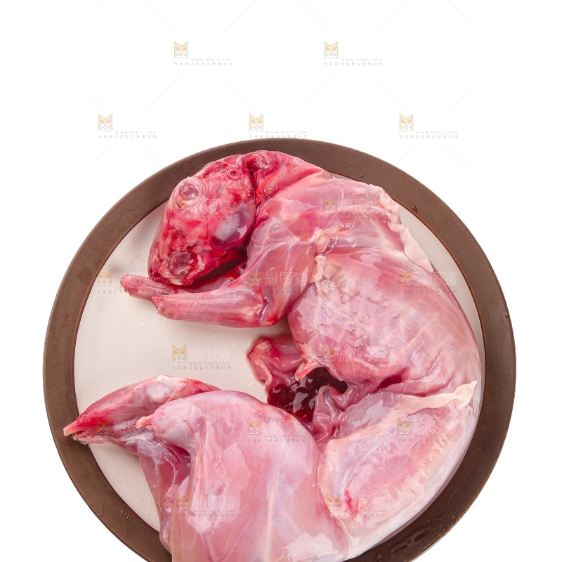 白底上的新鲜兔肉