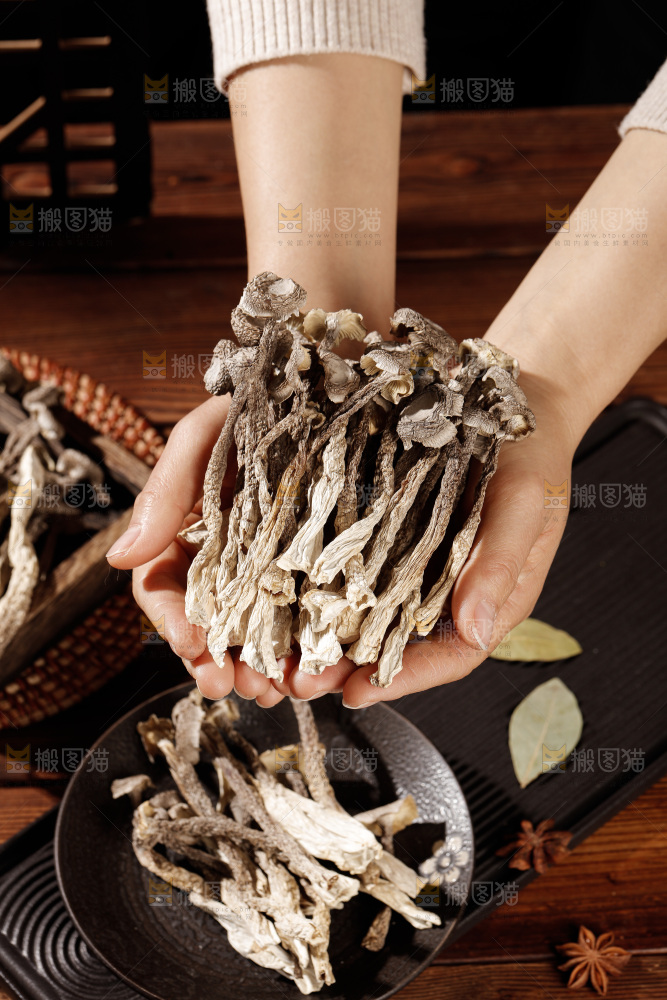 深色底上鹿茸菇
