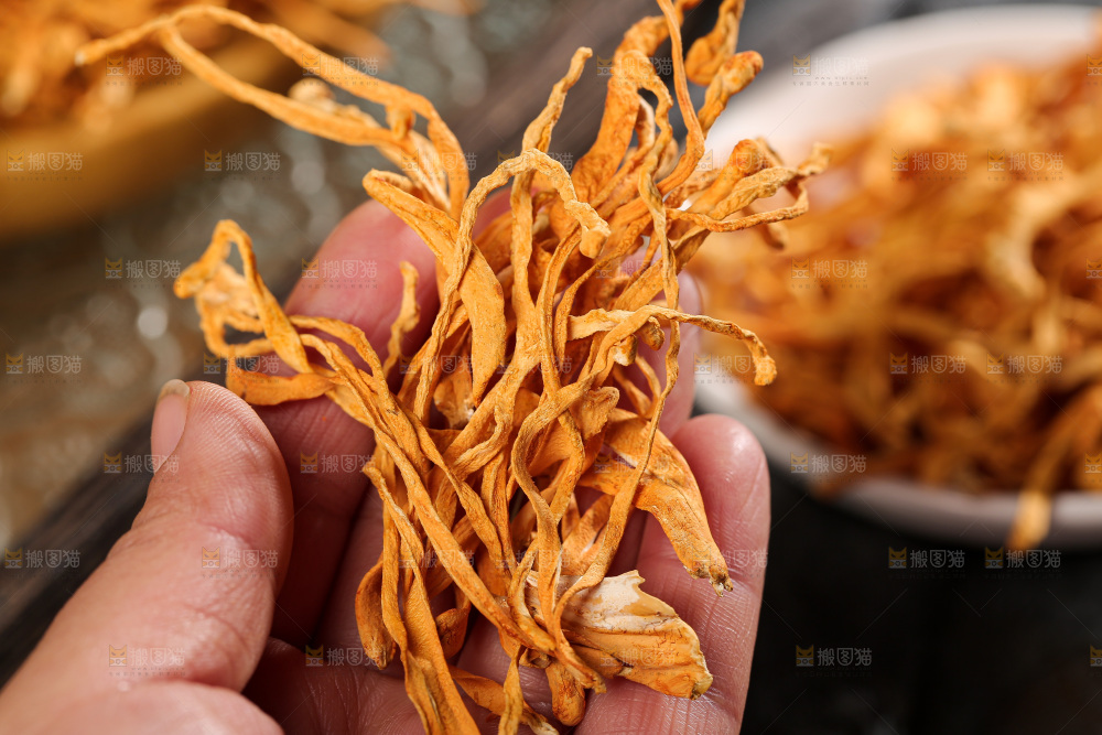深底上的虫草花