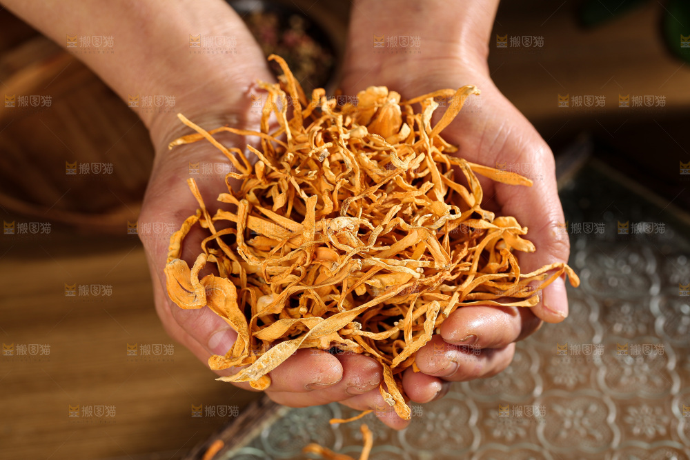 深底上的虫草花