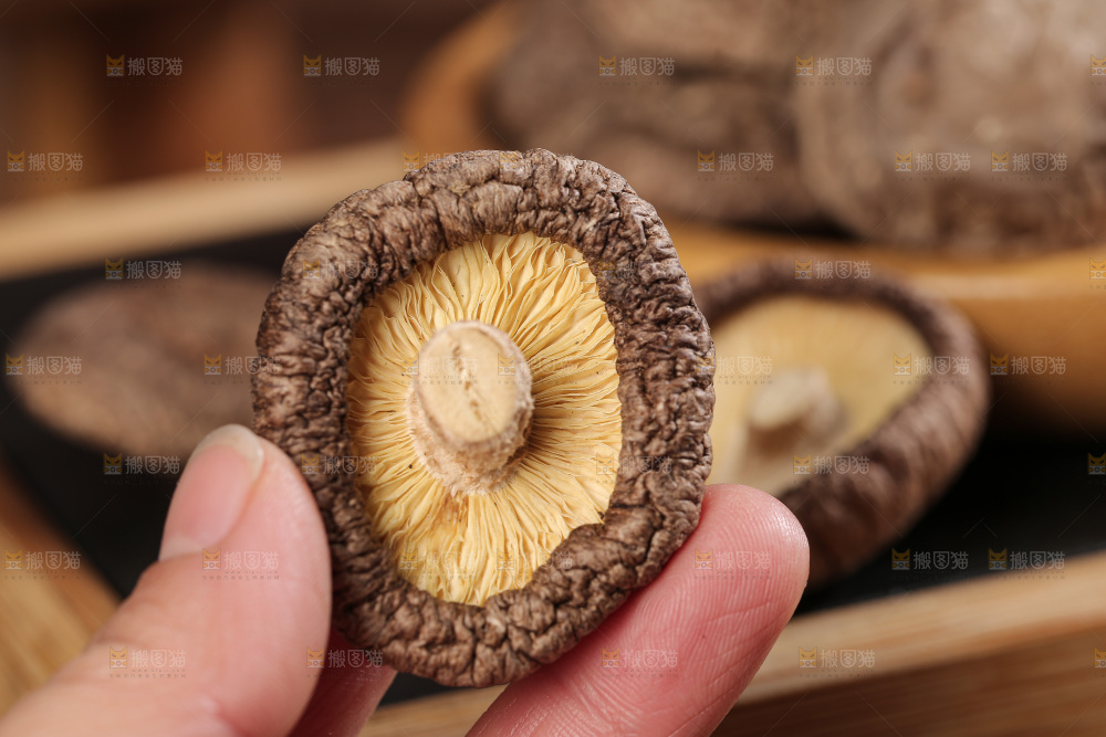 深底上的香菇