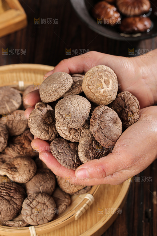 深底上的香菇