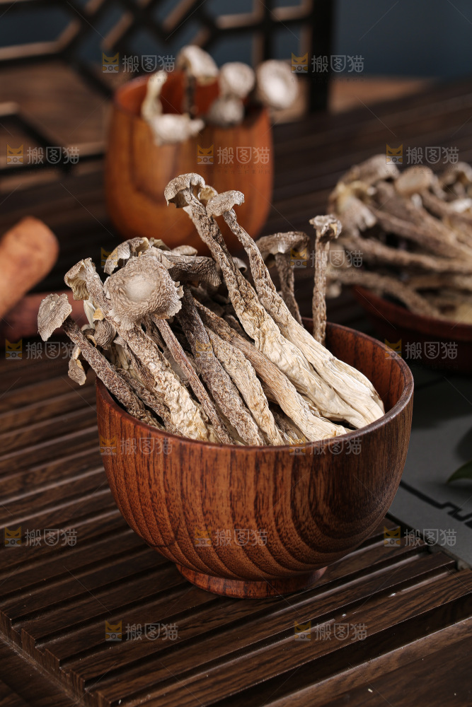 深底上鹿茸菇