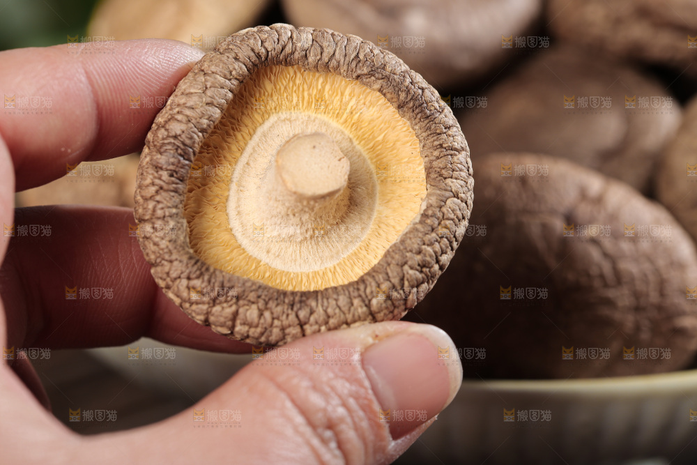 深底上的香菇