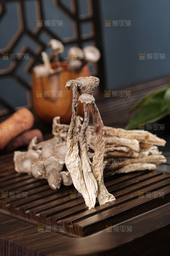 深底上鹿茸菇