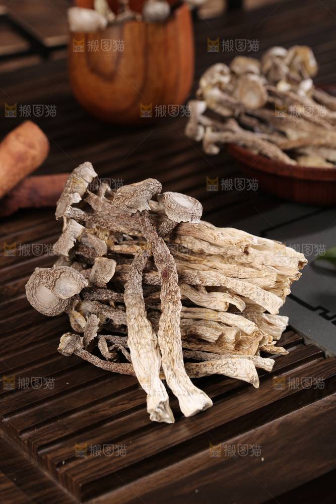 深底上鹿茸菇