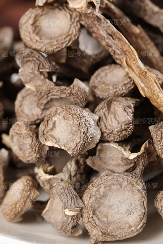 深底上鹿茸菇