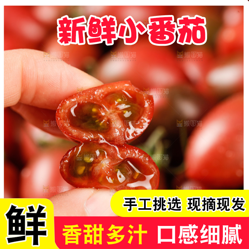 手里拿着混色小番茄