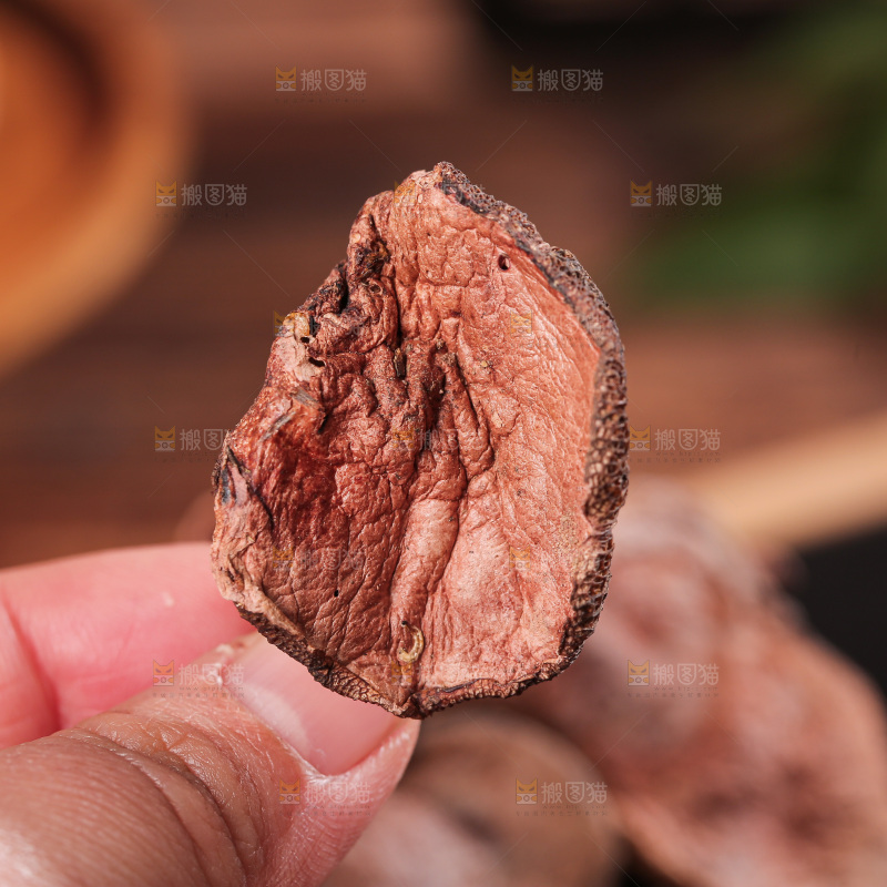 深底上的红乳牛肝菌