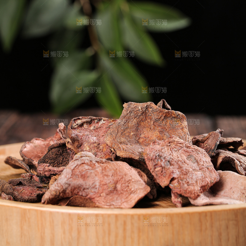 深底上的红乳牛肝菌
