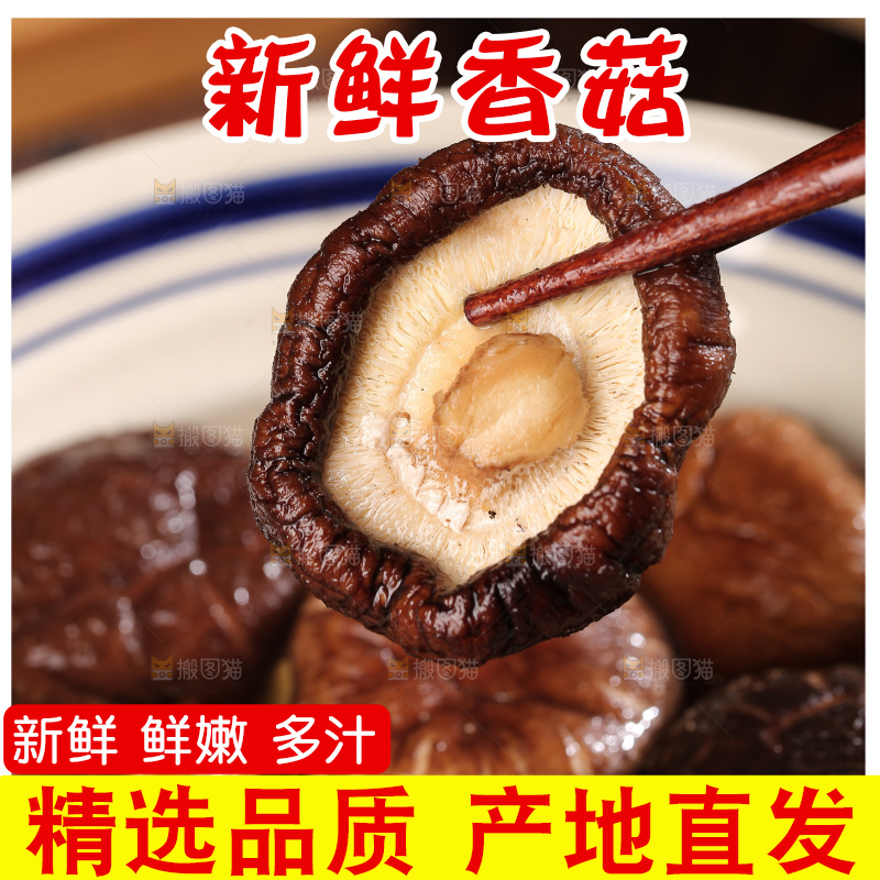 深底上的香菇