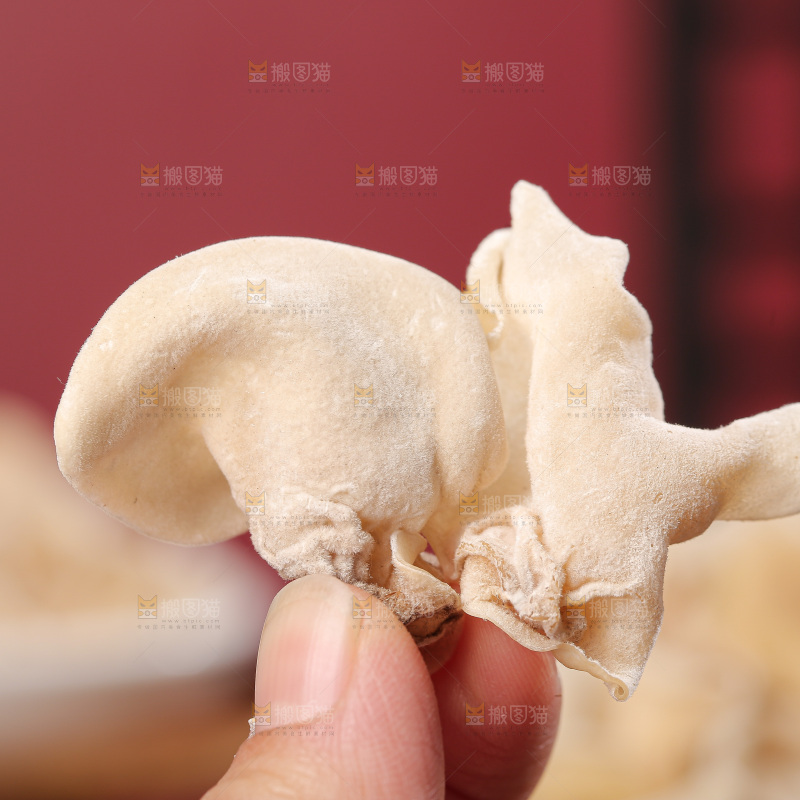 深底上白玉木耳