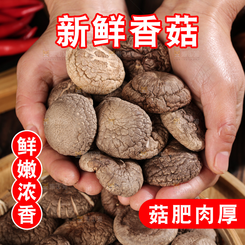 深底上的香菇