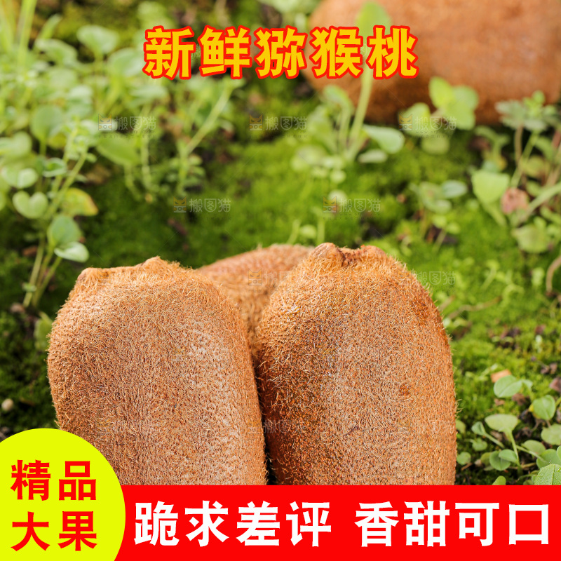 深底上的猕猴桃
