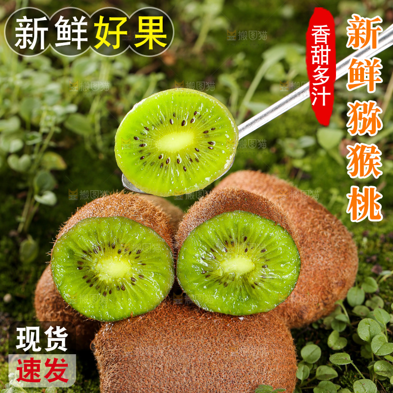 深底上的猕猴桃