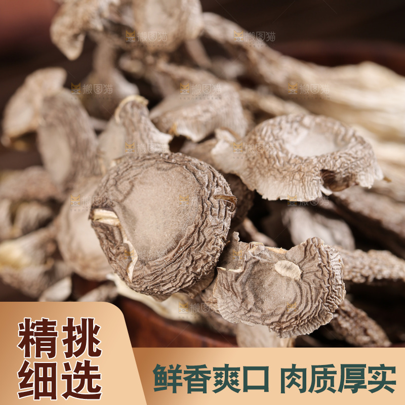 深底上鹿茸菇