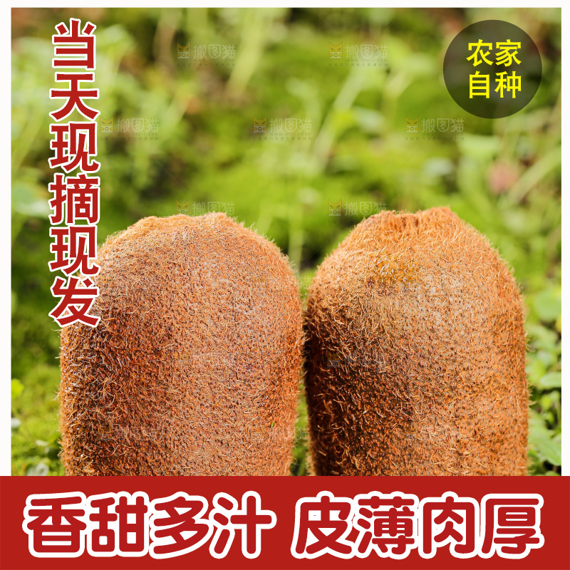 深底上的猕猴桃