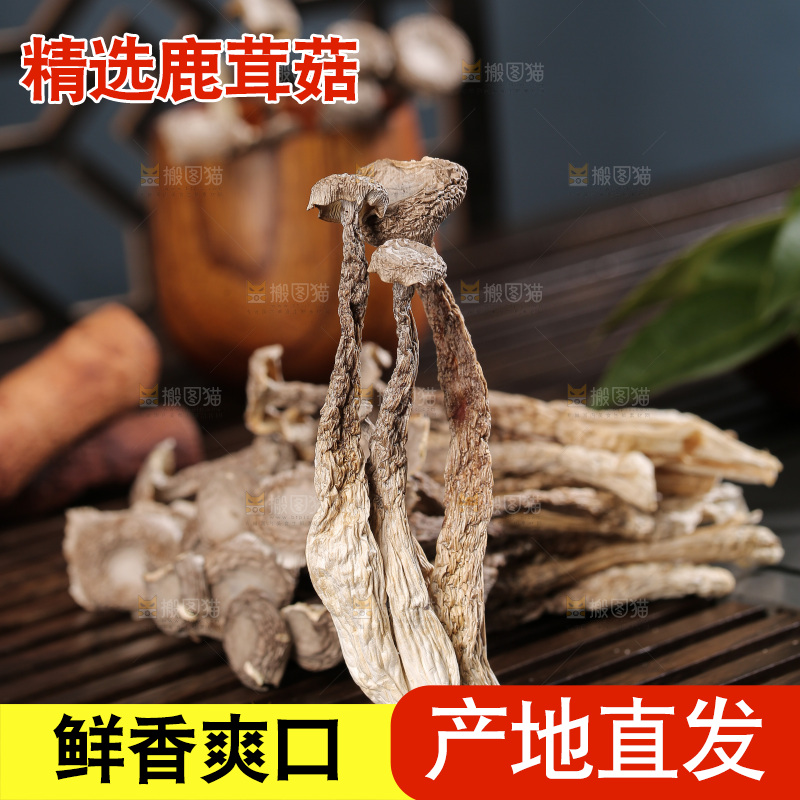 深底上鹿茸菇