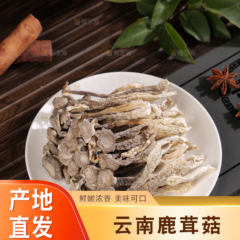 深底上鹿茸菇