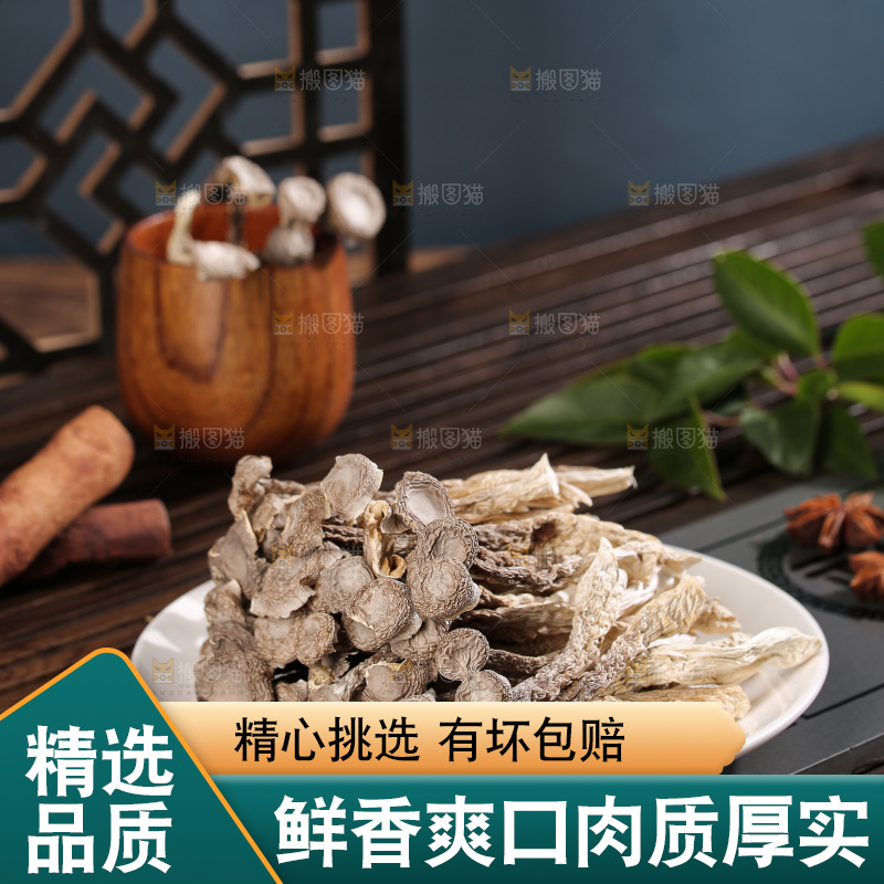 深底上鹿茸菇