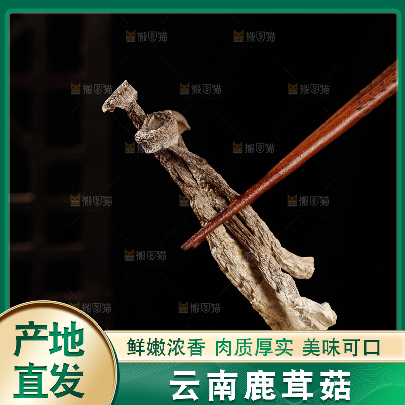 深色底上鹿茸菇