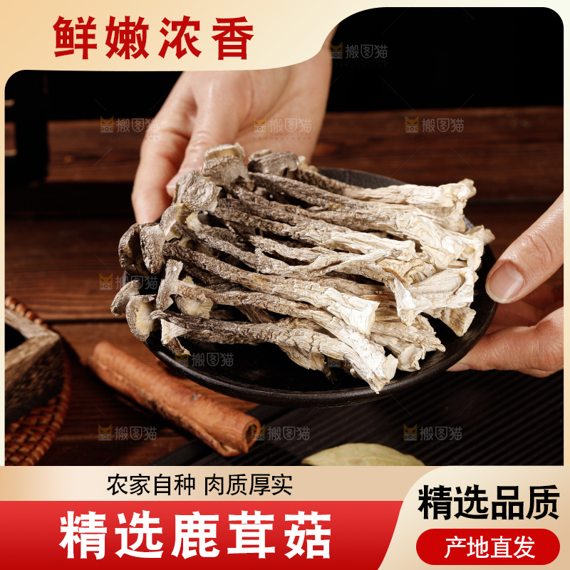 深色底上鹿茸菇