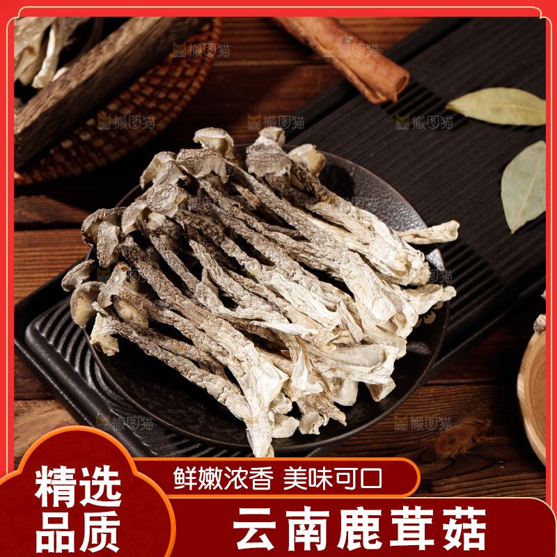 深色底上鹿茸菇