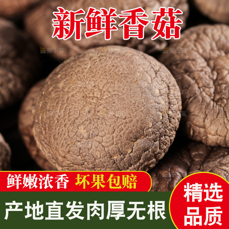 深底上的香菇