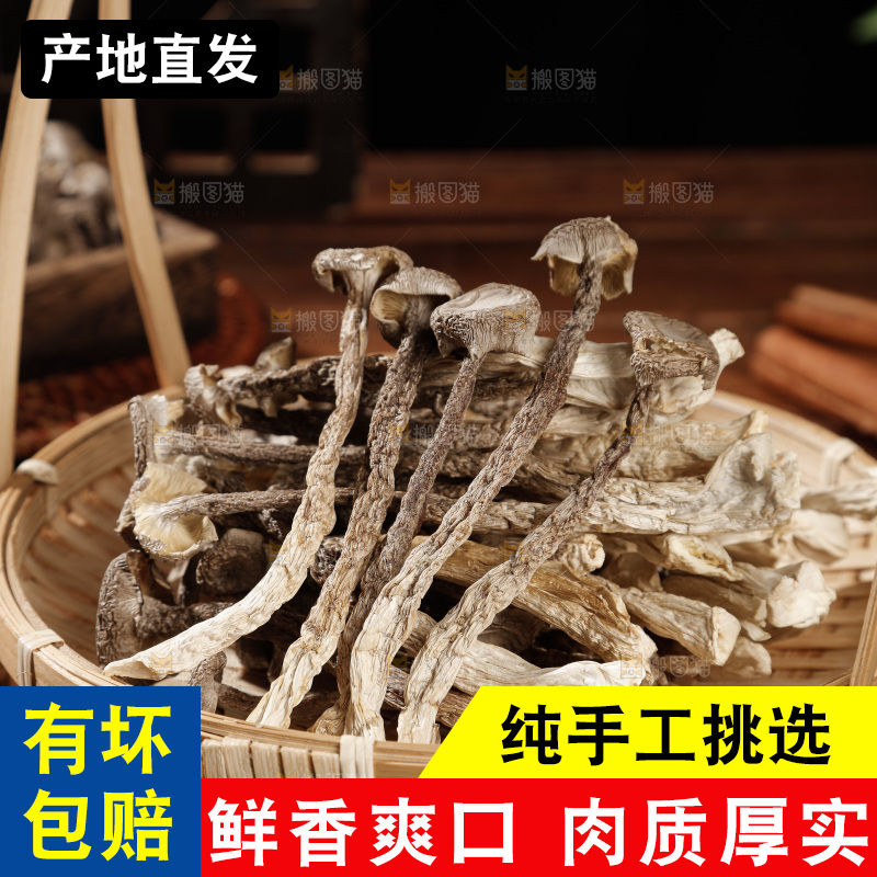 深色底上鹿茸菇