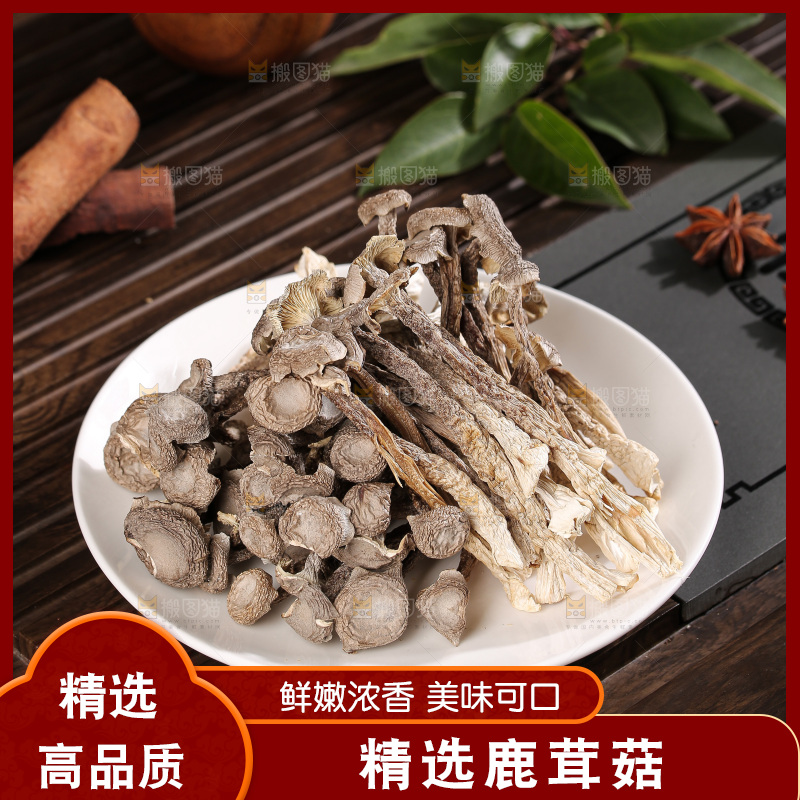 深底上鹿茸菇
