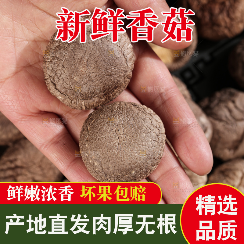 深底上的香菇