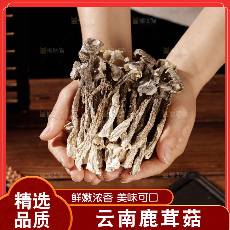 深色底上鹿茸菇